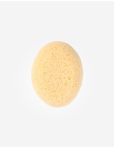 ESPONJA HIDROFILA SARO SARO 2