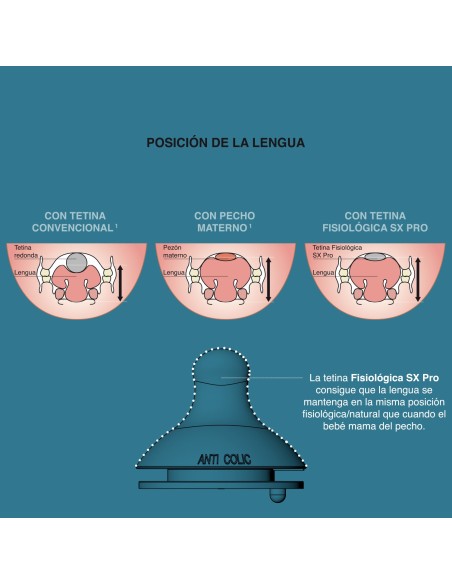 BIBERON TETINA FISIOLOGICA 270ML M FOX GRIS