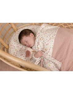 PAJARILLO PULL AND SHAKE LITTLE DUTCH 2
