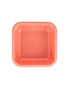 CAJA ALMUERZO GRANDE WILD FAIRIES 2