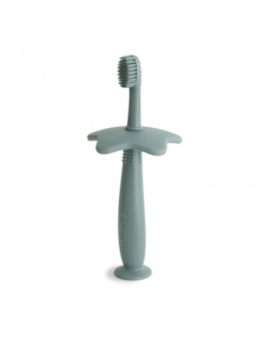 CEPILLO DE DIENTES DIDACTICO STAR CAMBRIDGE BLUE