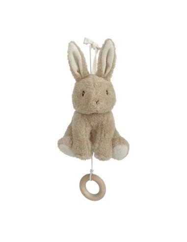 CONEJITO MUSICAL BABY BUNNY LITTLE DUTCH